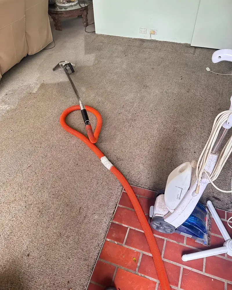 A living room carpet partway through cleaning, the cleaned section visibly lighter, with the steam wand and hose lying on it
