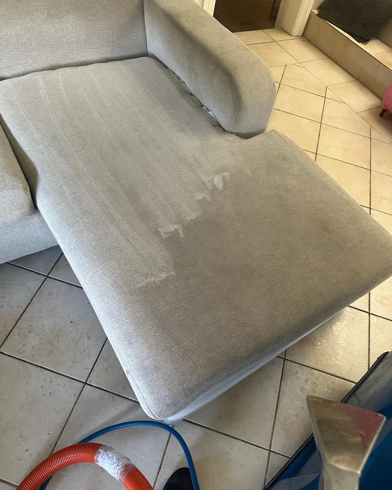 A chaise lounge with steam cleaning strokes visible in the fabric and the tool beside it