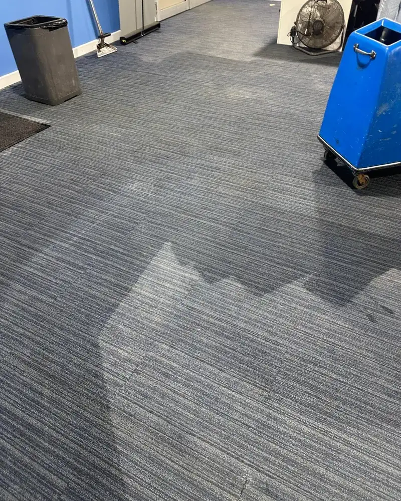 Commercial carpet tiles half cleaned, with the extraction machine in the background